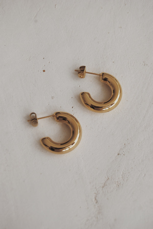 Sasha Hoop Earrings