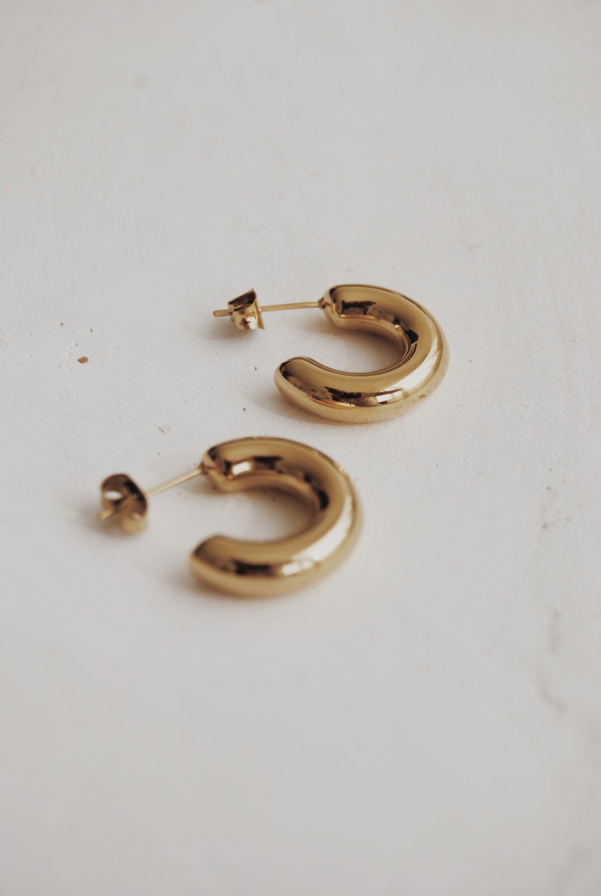 Sasha Hoop Earrings