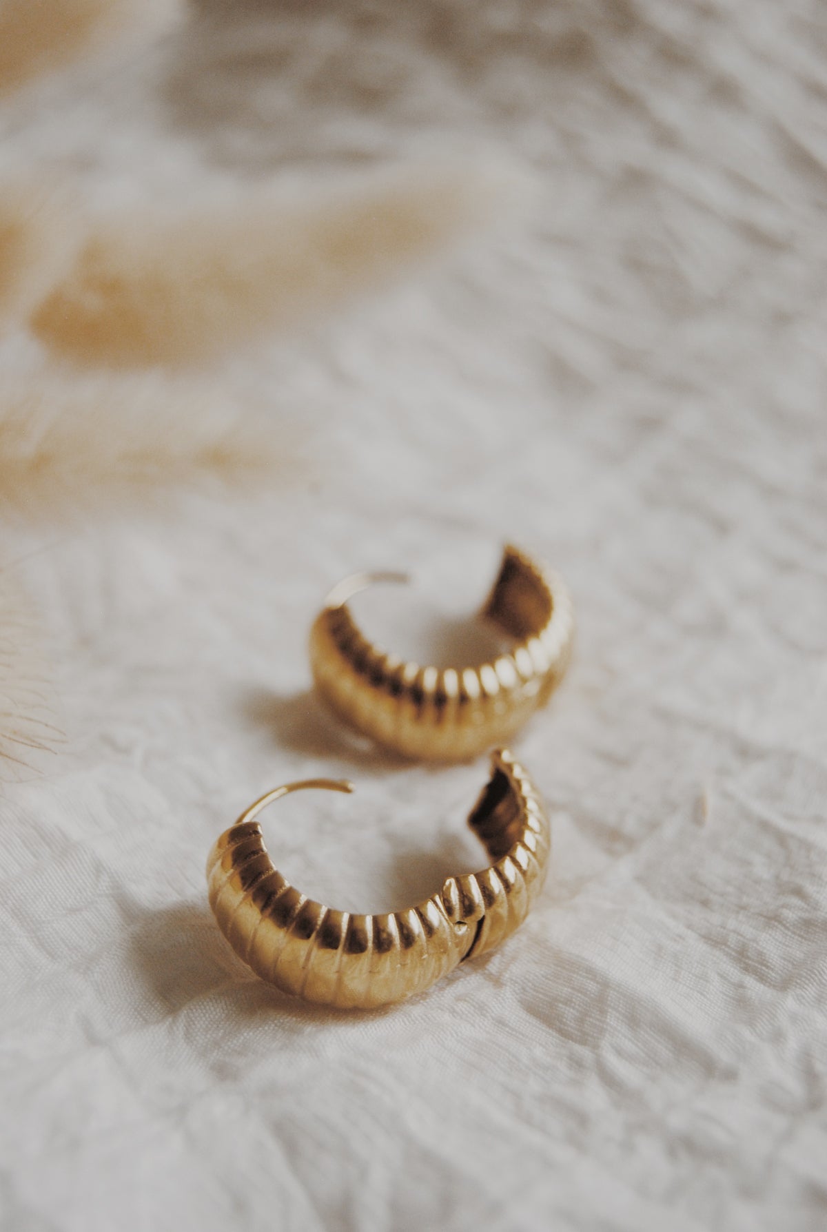 Rochelle Chunky Hoop Earrings