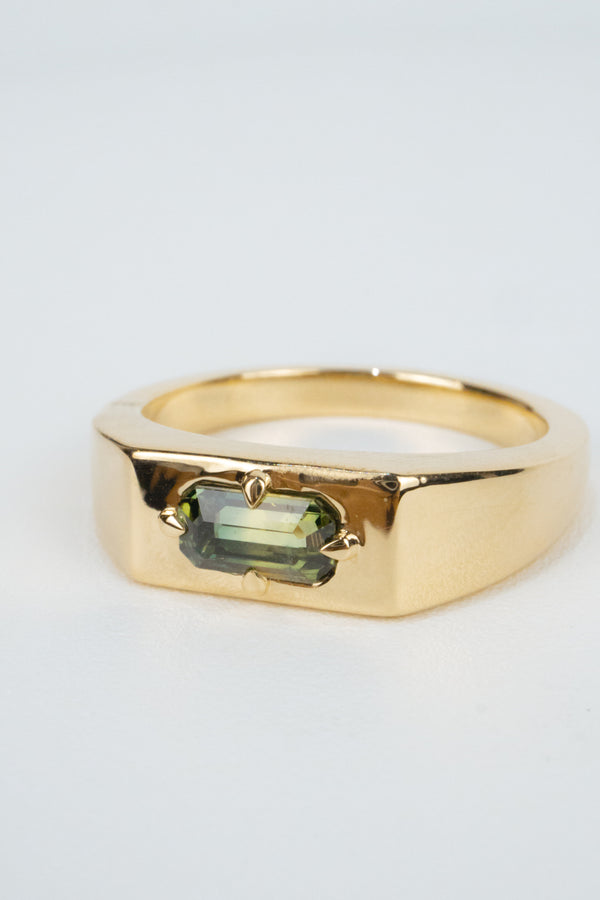 Grayson Men's Signet Ring- 0.85ct Parti Sapphire