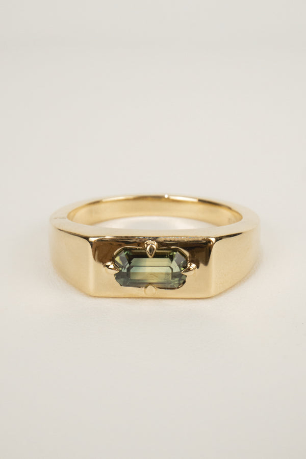 Grayson Men's Signet Ring- 0.85ct Parti Sapphire