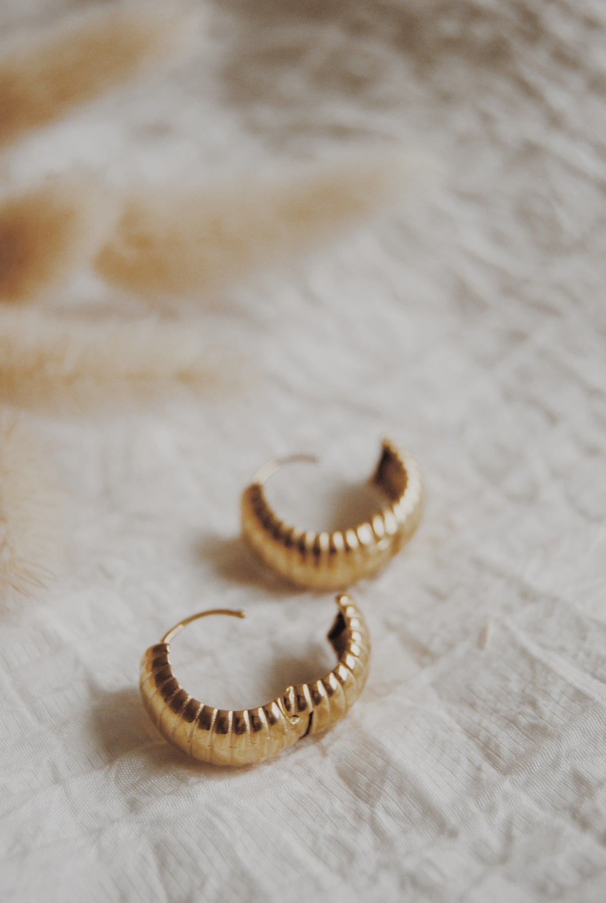 Rochelle Chunky Hoop Earrings