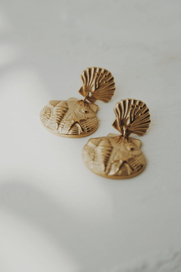 Sandy Seashell Stud Earrings