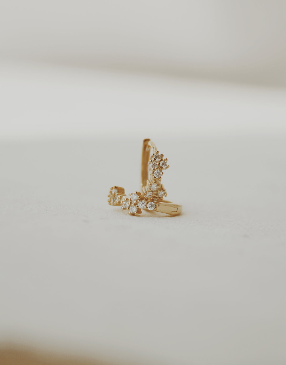 Reflecting Light Huggie Hoop Earrings