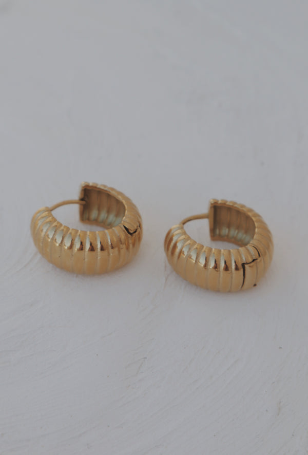 Rochelle Chunky Hoop Earrings