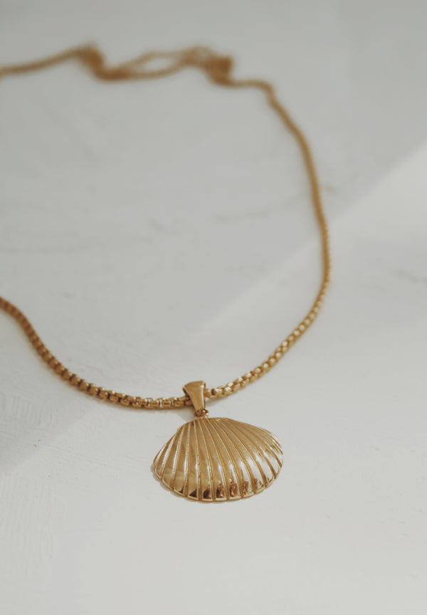 Ezra Clamshell Necklace