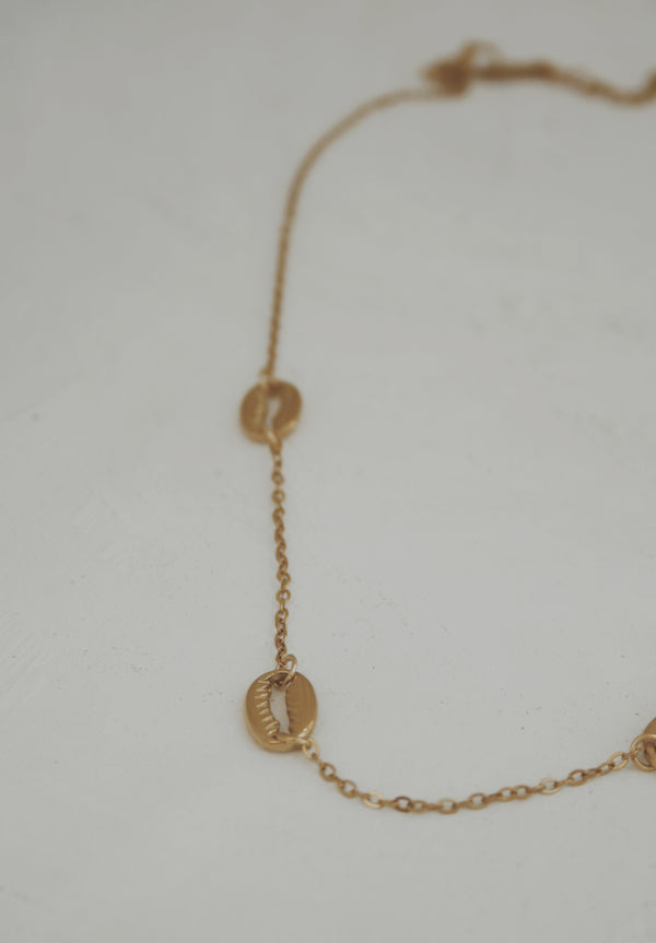 Pookie Shell Necklace