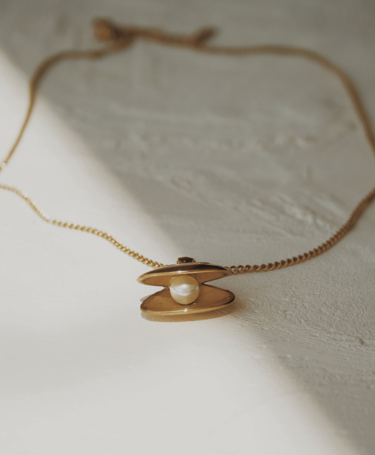 Hidden Treasure Necklace